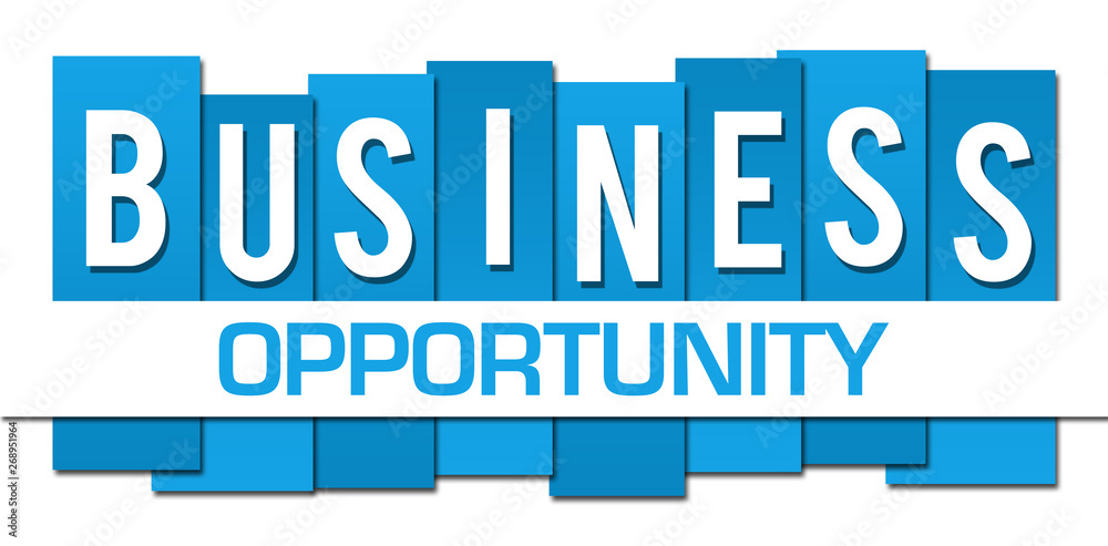 Business Opportunity Blue Professional Horizontal 