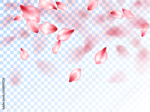 Japanese cherry petals on transparent background.