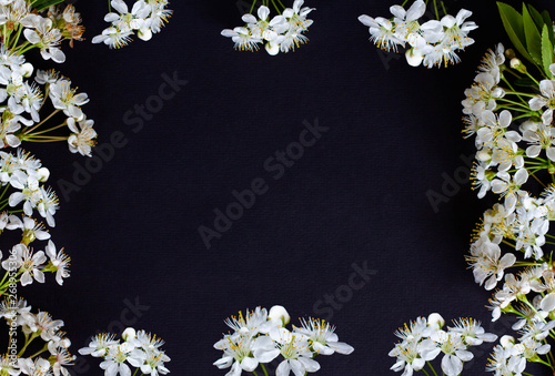 frame of white flowers located on the edges on a black background, copy space, outline, card
