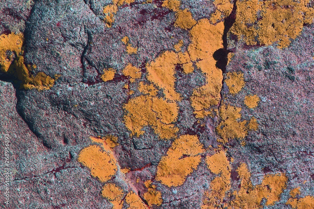 creative grungy mossy stone texture - nice abstract photo background creative grungy mossy stone texture - nice abstract photo background