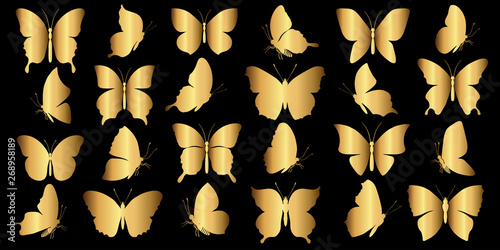 Canvas Print set of gold butterflies