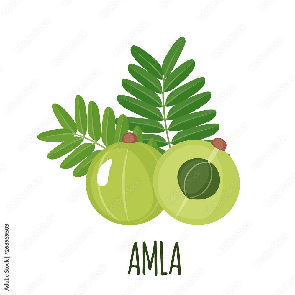 Fotografie Amla icon in flat style isolated on white.