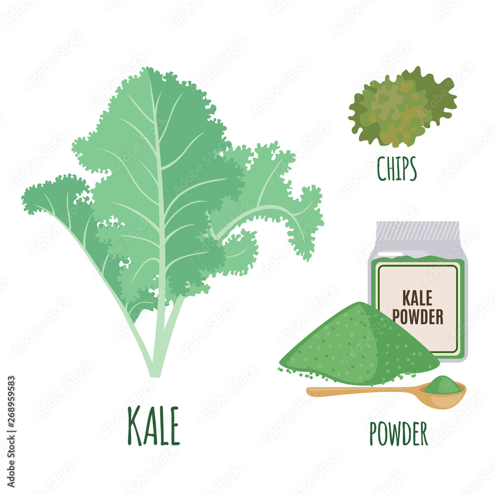 Kale set in flat style isolated on white.