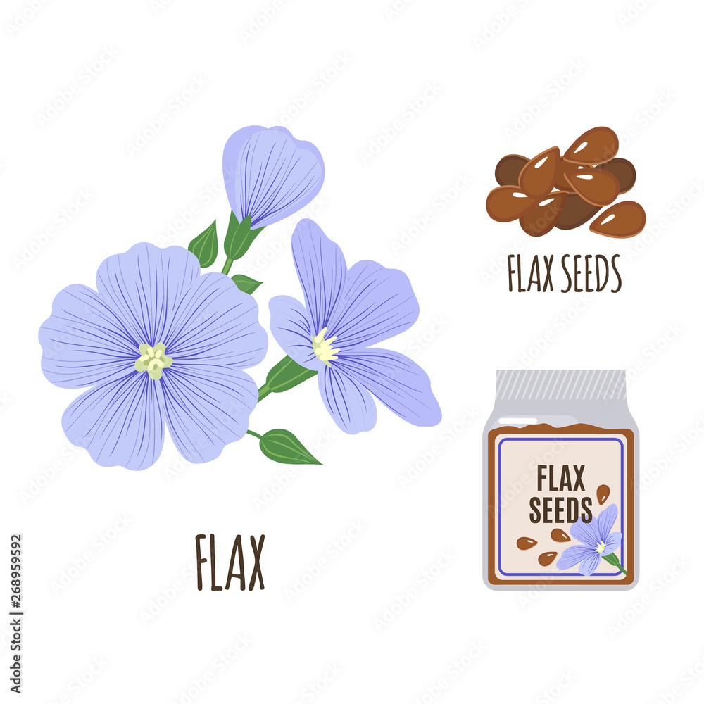 Flax set in flat style isolated on white. - obrazy, fototapety, plakaty 