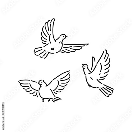 Urban birds wild pigeons flying line art style character vector black white isolated illustration. © Marina Tab