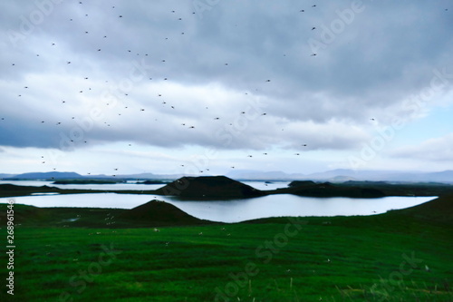 Lake Myvatn with its eponymous mosquitoes