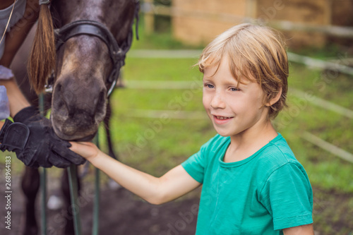 The boy feeds a horse from a palm