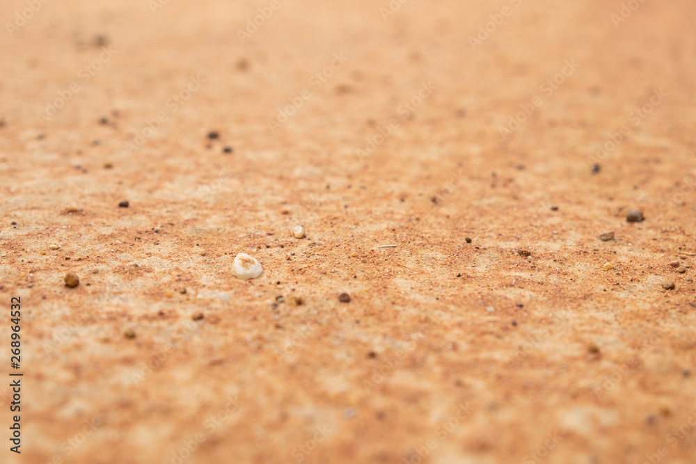 sandy Soil pattern texture/background, The cracked earth/ground in drought, Soil texture and dry mud, Dry land. sandy Soil pattern texture/background, The cracked earth/ground in drought, Soil texture and dry mud, Dry land.