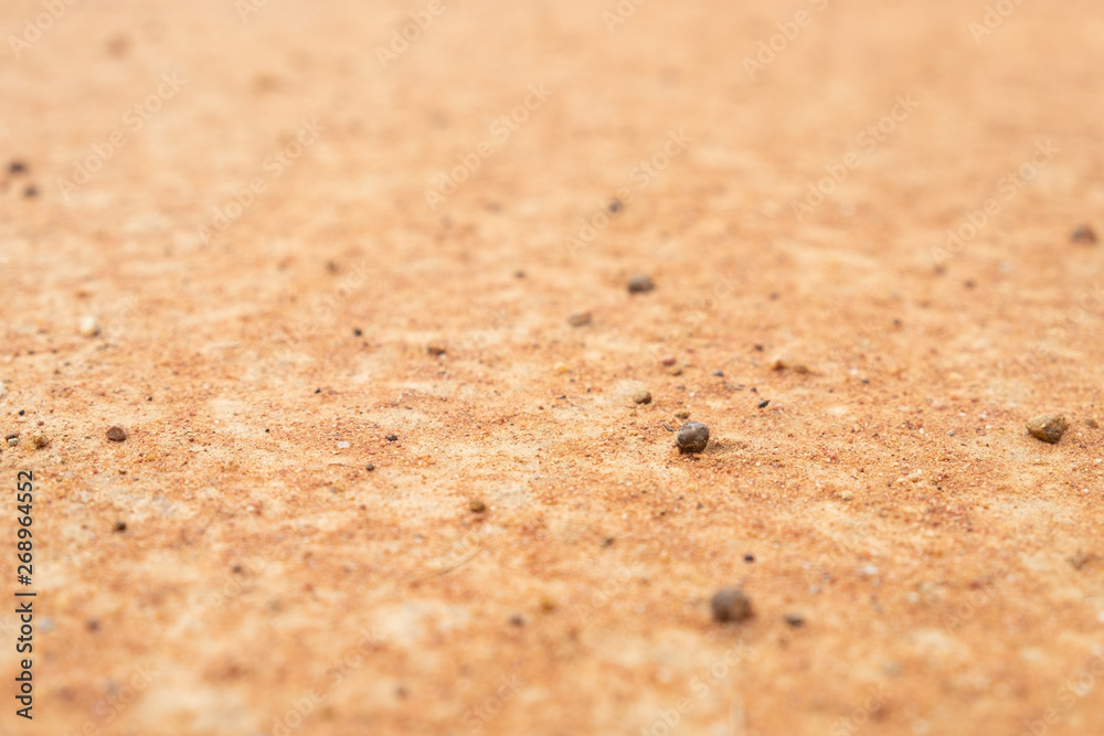 sandy Soil pattern texture/background, The cracked earth/ground in drought, Soil texture and dry mud, Dry land. sandy Soil pattern texture/background, The cracked earth/ground in drought, Soil texture and dry mud, Dry land.