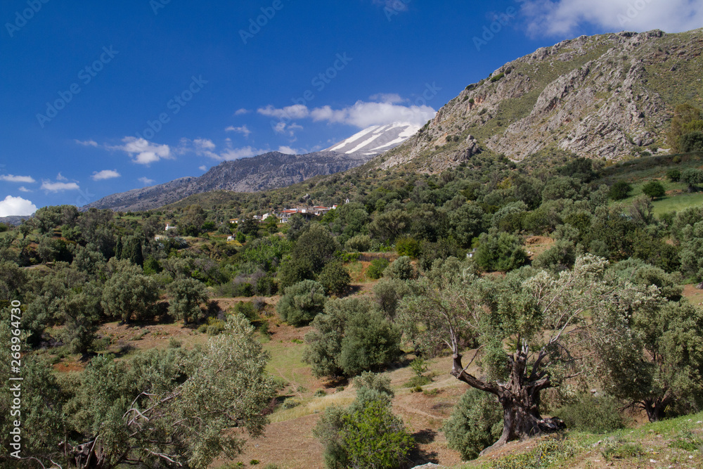 Landscape on Crete, Greece: view over an olive orchard, in the distance a snow-covered mountain and a village with white houses