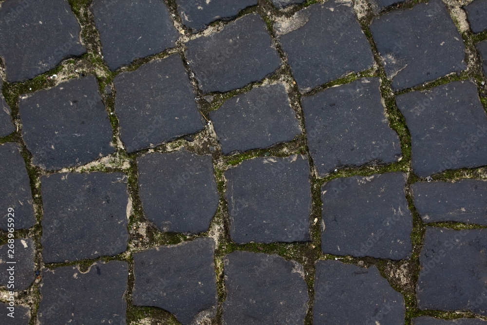 Obraz premium texture of old floor