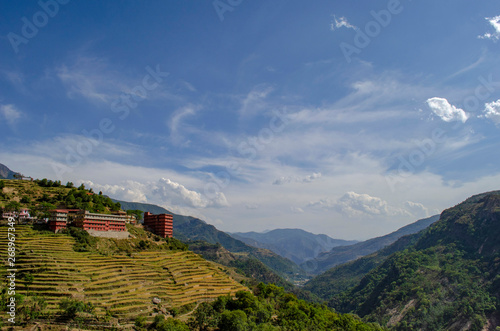 Terrace paddy fields near Rudraprayag  Garhwal  Uttarakhand  India