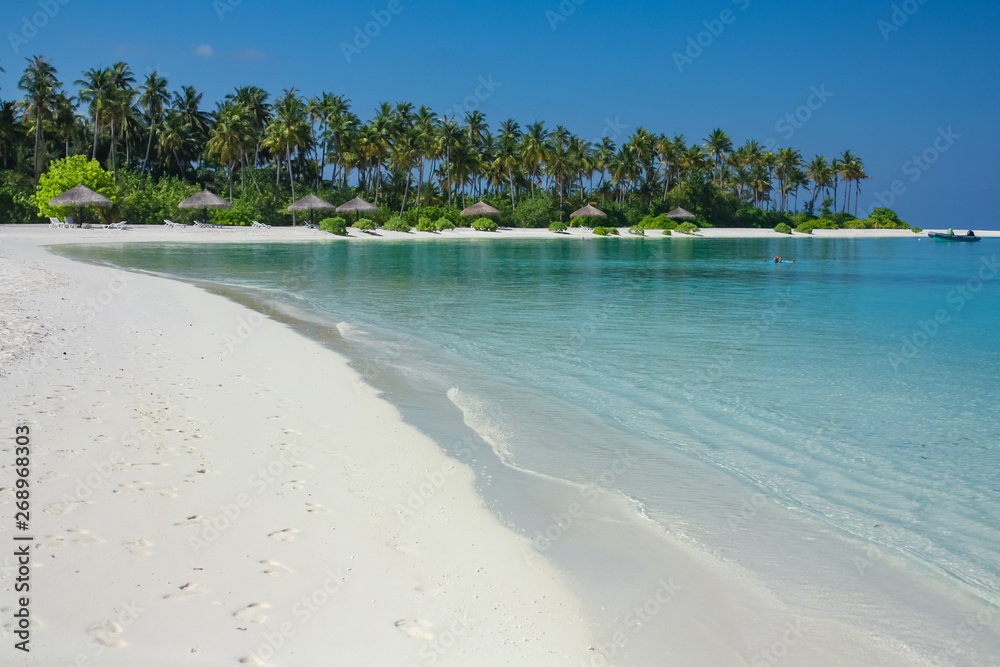 Paradise beach with clear blue water, white sand and palm trees. Maldives