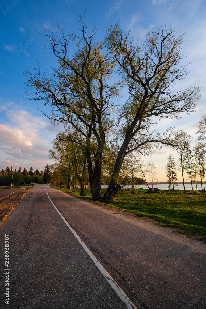 Fototapeta premium image of a country road