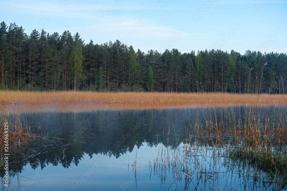 Landscape with the image of lake Seliger in Russia