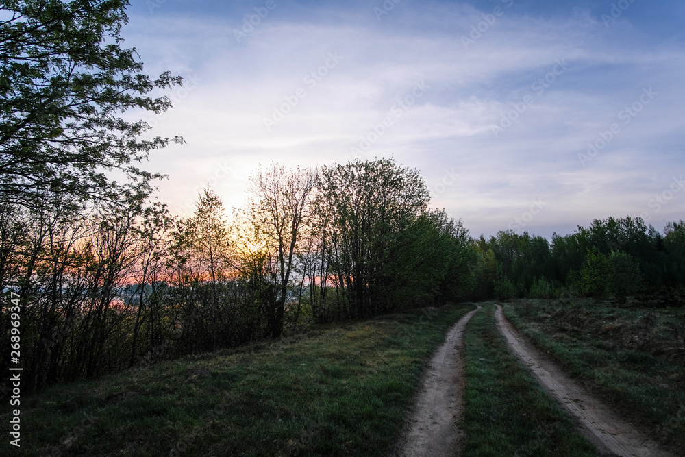 Landscape with the image of forest