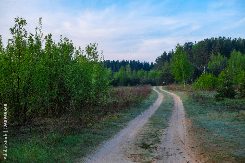 Landscape with the image of forest Landscape with the image of forest