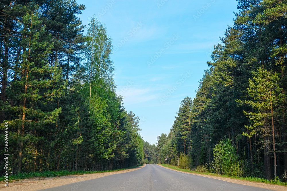 Landscape with the image of forest road on lake Seliger region in Russia