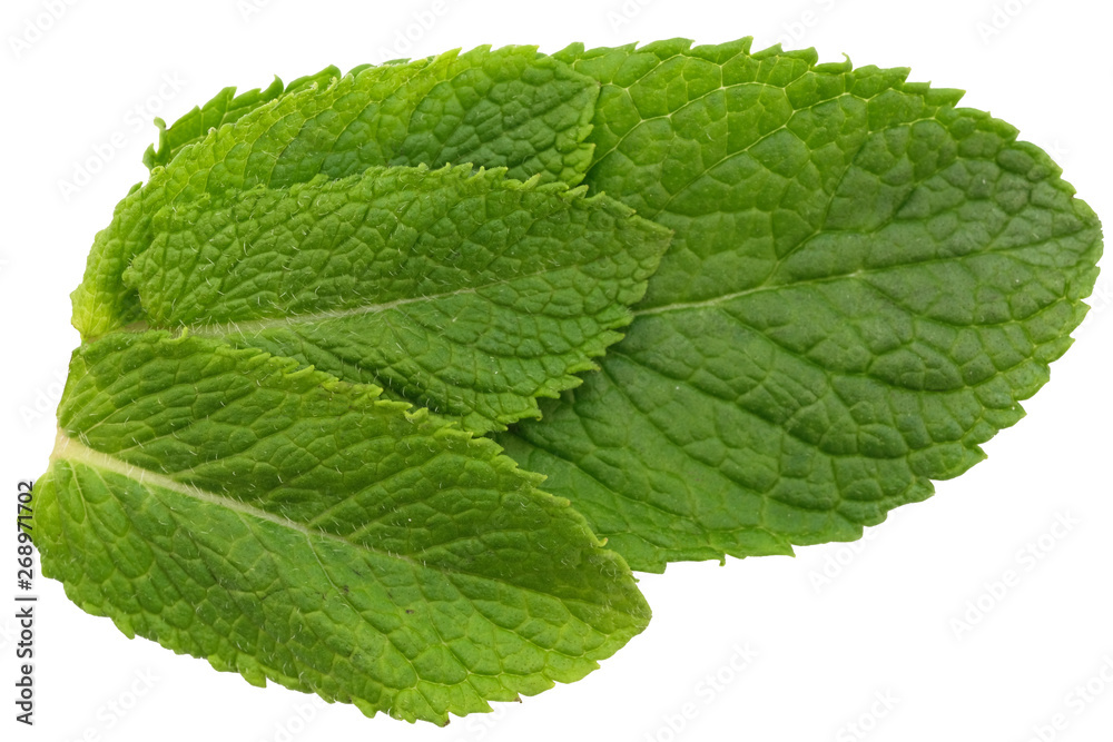 Leaves of fragrant peppermint Leaves of fragrant peppermint