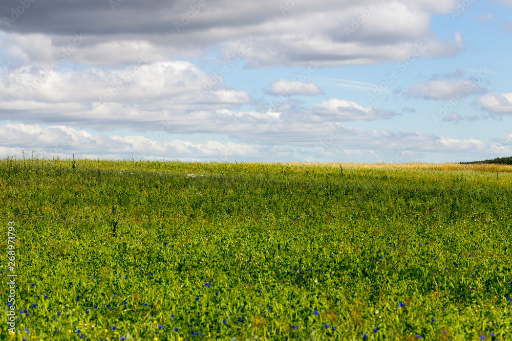 An agricultural field An agricultural field
