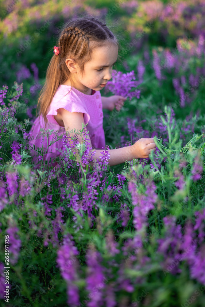 portrait smiling toddler girl in lavender field