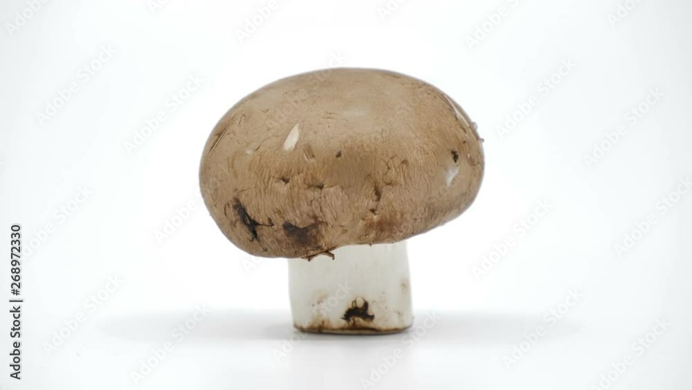 brown mushrooms organic, healthy food ,health care eat vegetables and useful foods. brown mushrooms organic, healthy food ,health care eat vegetables and useful foods.