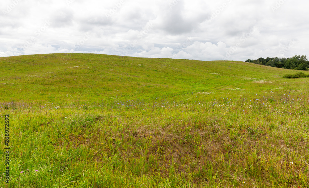 grass hill territory grass hill territory