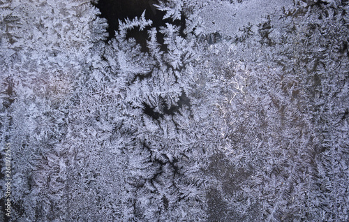  Crystal patterns on the glass in the frosty winter