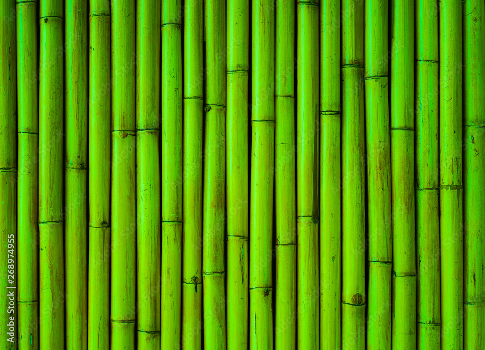 Naklejka bamboo background tree plant green pattern