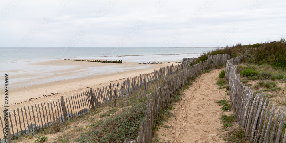 sand dunes with golden sand and beach grass in web banner template sand dunes with golden sand and beach grass in web banner template