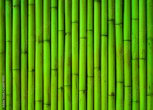 Fototapeta Naklejka Na Ścianę i Meble -  bamboo background tree plant green pattern