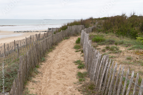 Beach access wooden fence protecting the dune by the seaside © OceanProd