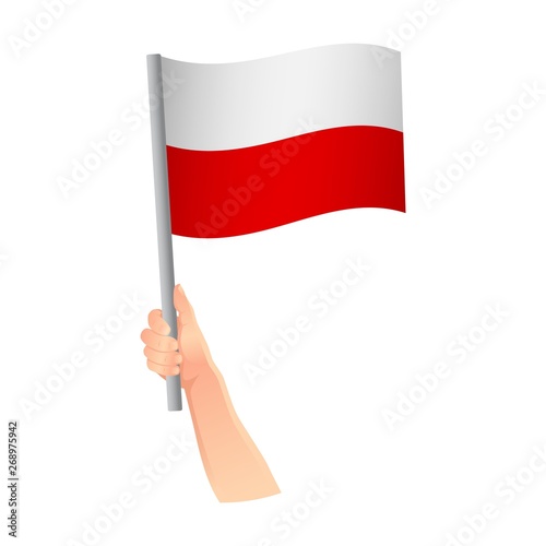 Poland flag in hand icon
