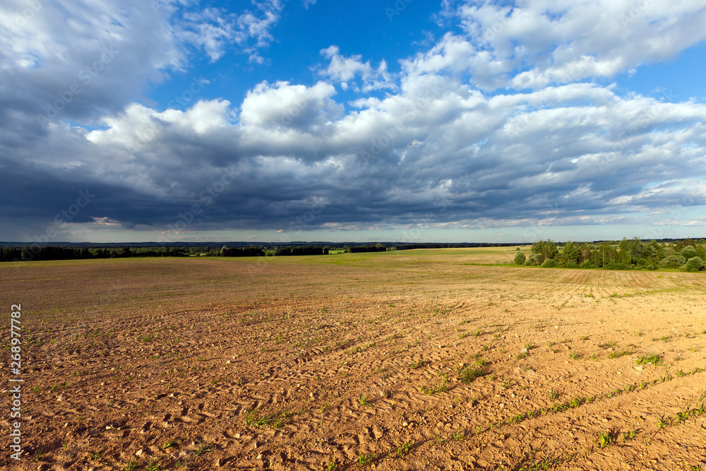 Empty agricultural field Empty agricultural field