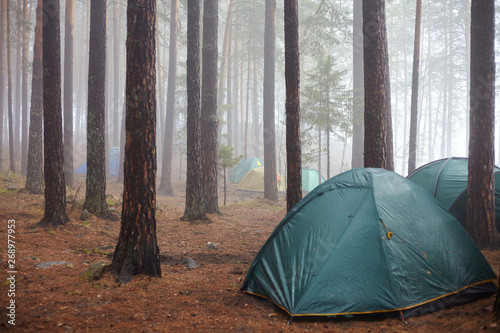 Tourist green tent in the fog in the forest.