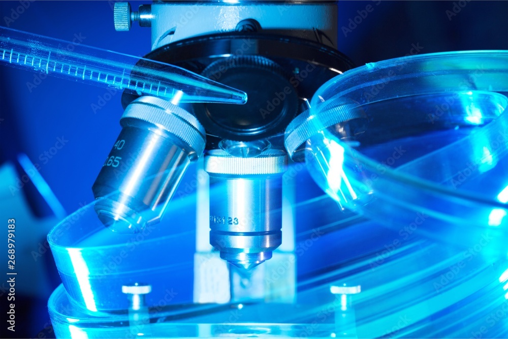 Microscope. Microscope.