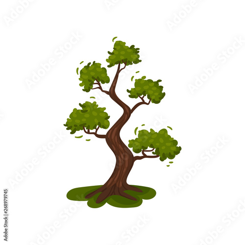 Tree with a curved trunk and thin branches. Vector illustration on white background.