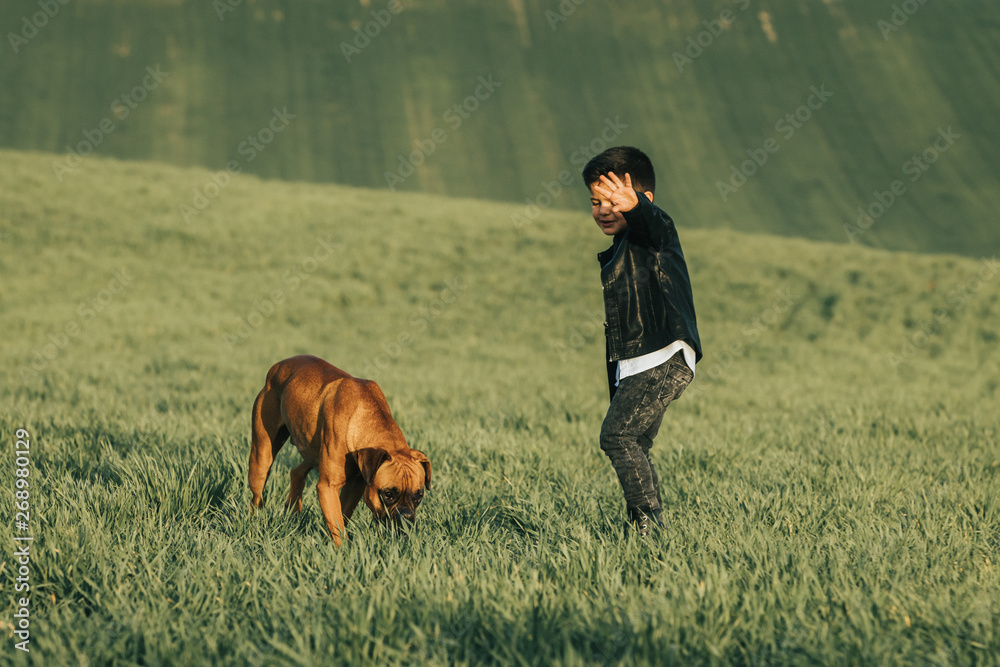 Little boy and dog in field. Boxer dog