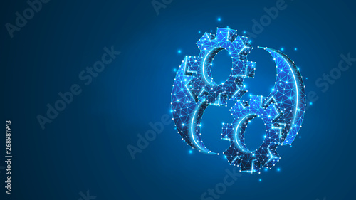 Gears Yin-Yan symbol. Industry balance, business solution, mechanical technology, engineering concept. Abstract, digital, wireframe, low poly mesh, vector blue neon 3d illustration. Triangle, line dot