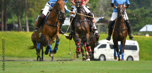 polo players are riding on horseback to grab the polo ball in a fierce speed.