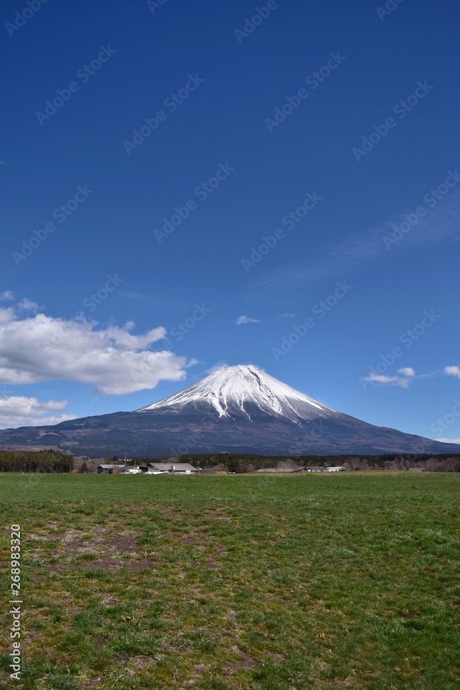 富士山と草原～Mt.Fuji and Grassland.