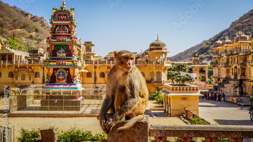 Jaipur rajasthan India  photo