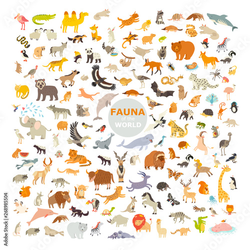 Mammals of the world. Extra big animals set. Vector illustration, isolated on a white background
