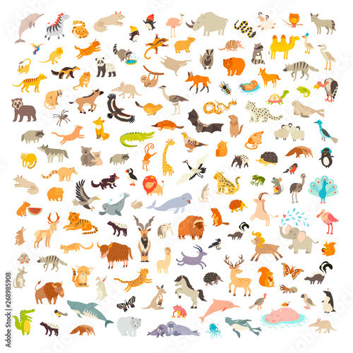 Mammals of the world. Animals and birds cartoon style, mammals icon. Animals vector. Extra big animals set. Vector illustration, isolated on a white background