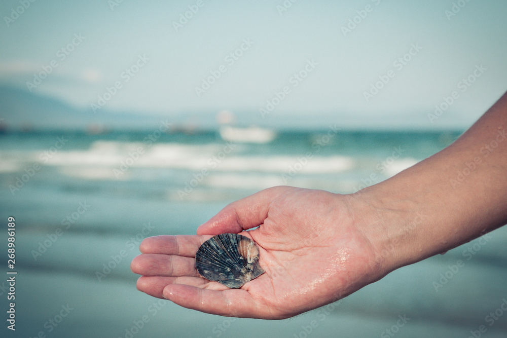 beautiful Sea shell on the man's hand