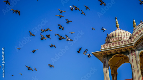 Jaipur rajasthan India 