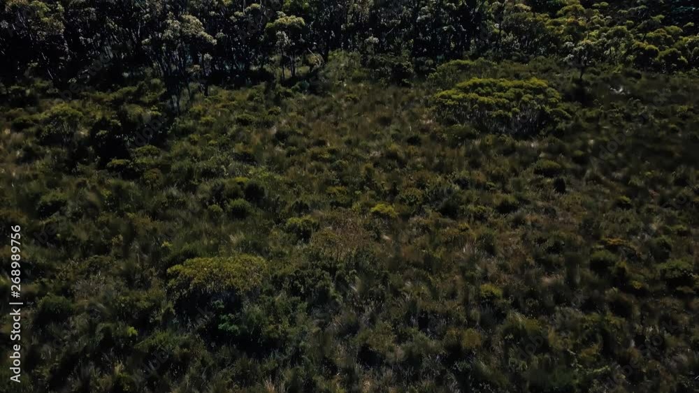 Drone Aerial Tilt Up Shot of Beautiful Nature Vegetation and Canyon in Blue Mountains National Park Australia Drone Aerial Tilt Up Shot of Beautiful Nature Vegetation and Canyon in Blue Mountains National Park Australia
