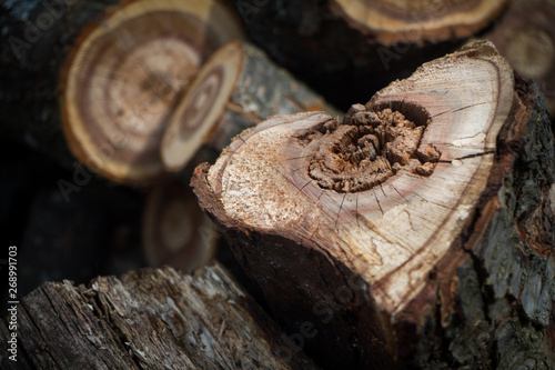 Close-up of a heart-shaped saw cut down firewood for heating a house, background or concept