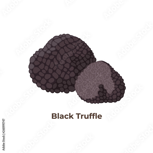Black truffle mushrooms isolated on white background, vector illustration in flat design.