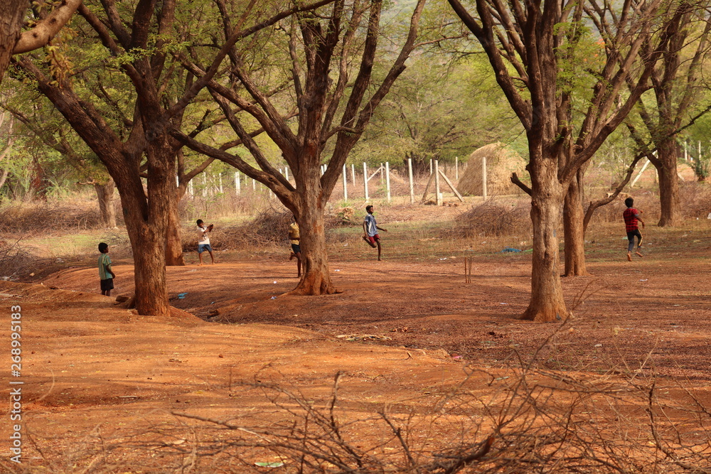 Village boys play native cricket Village boys play native cricket